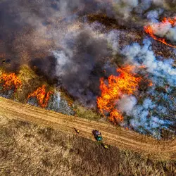 March 2020 (Shaker Village of Plesant Hill)